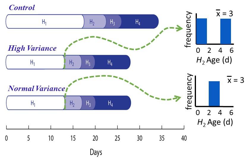 diagram of treatment effects